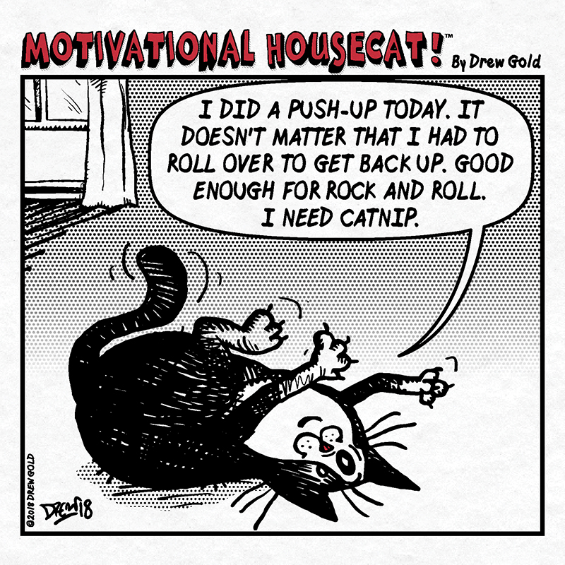 I Did A Push-Up Today