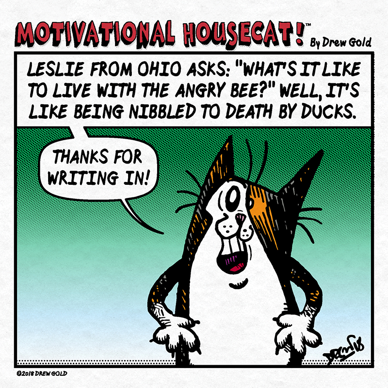 Nibbled To Death By Ducks