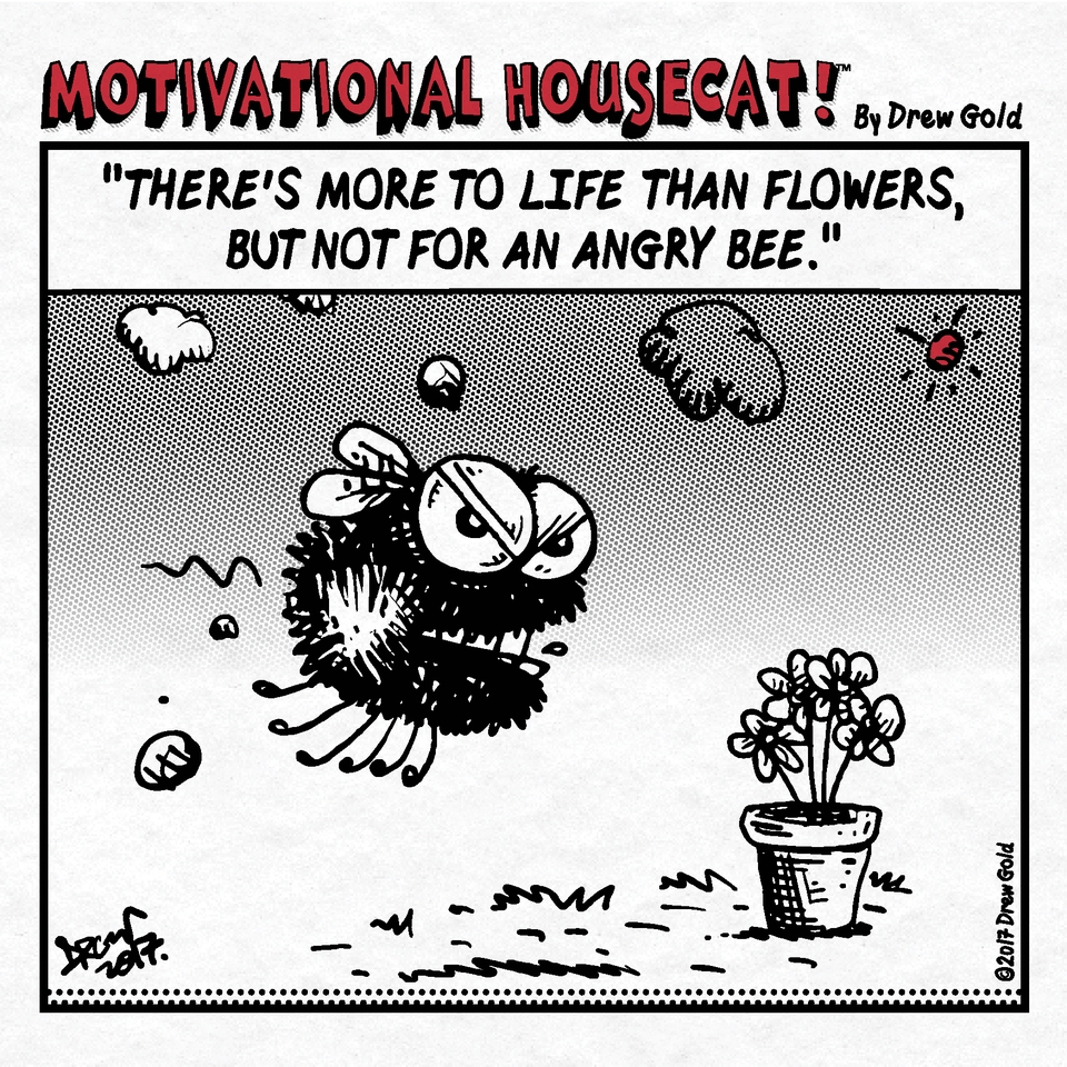 More To Life Than Flowers