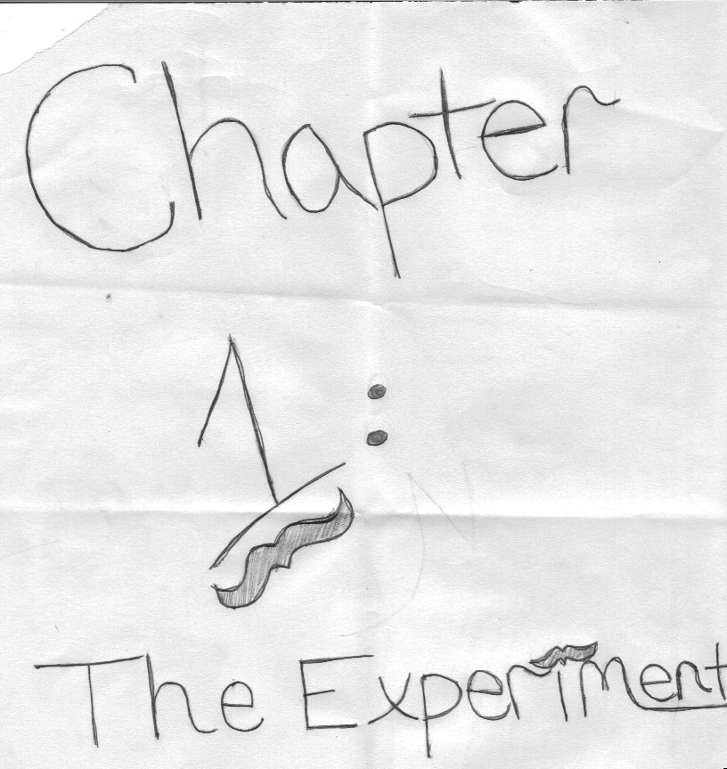 Chapter 1 : The Experiment 