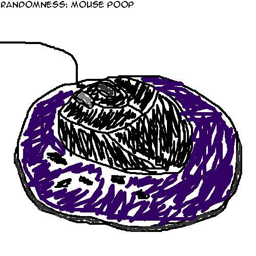 Randomness: Mouse Poop