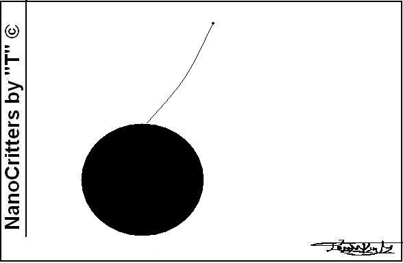 5#NanoYoYo