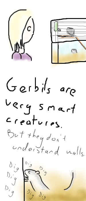 Gerbils