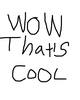 Wow Thats Cool comic