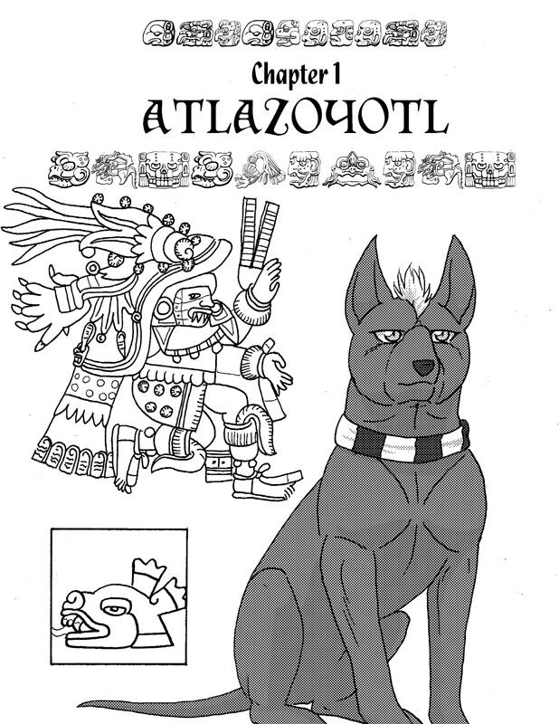 Chapter 1 cover page