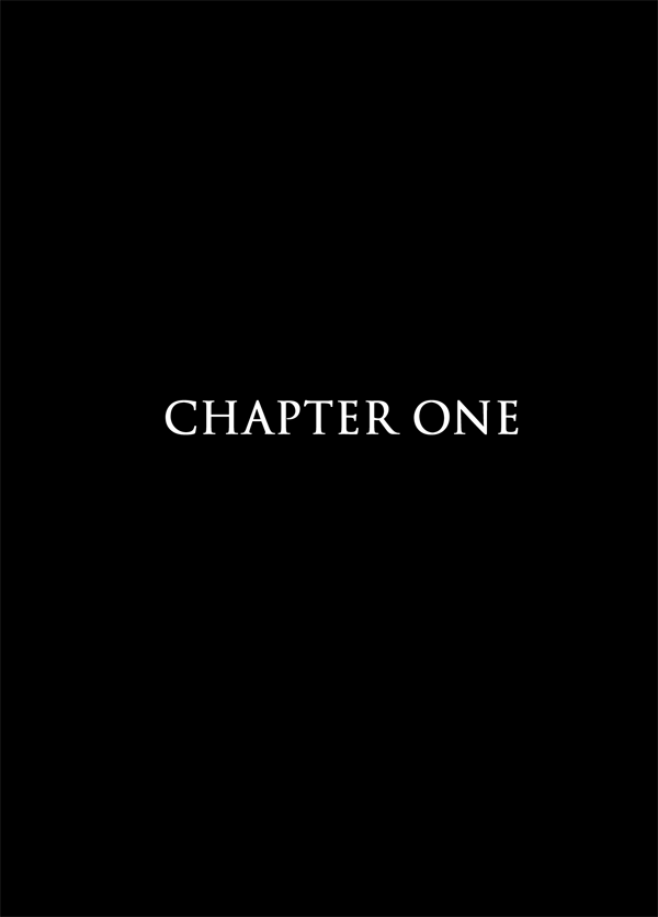 Chapter 1