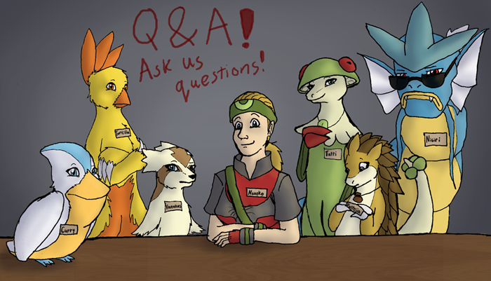 Q&A