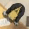 Go to OQuamGloriosum's profile