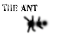 The Ant