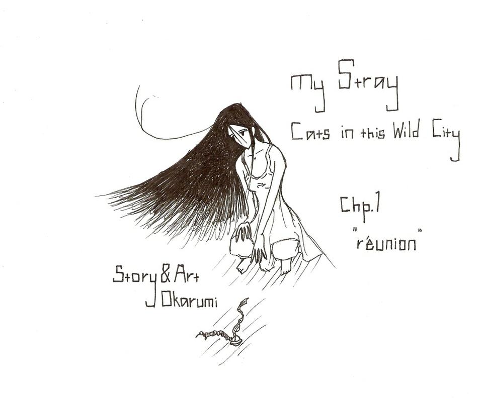 My Stray Cats in this Wild City | Chp 1; "rÃƒÂ©union"