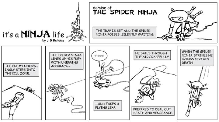 Demise of the Spider Ninja