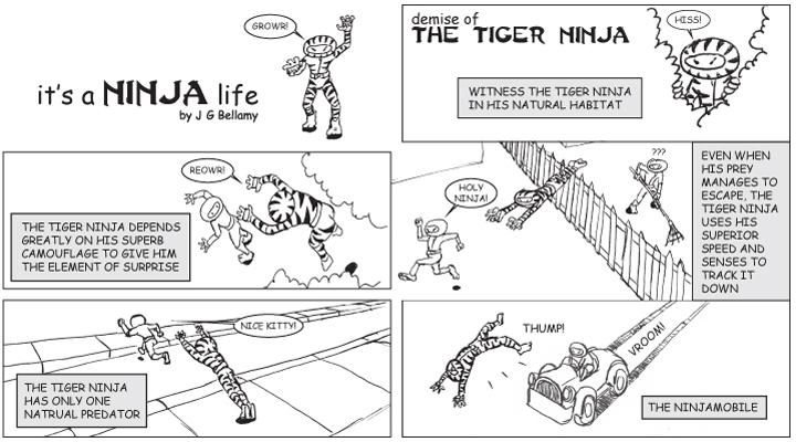 Demise of the Tiger Ninja