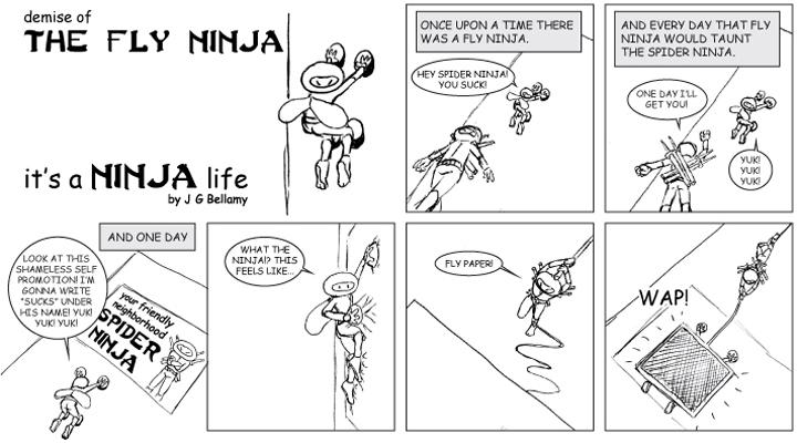 Demise of the Fly Ninja