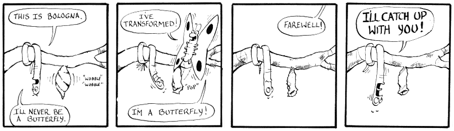 Strip #16- August 25, 2006