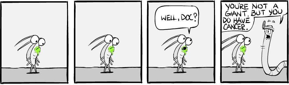 Strip #260, April 26 2007