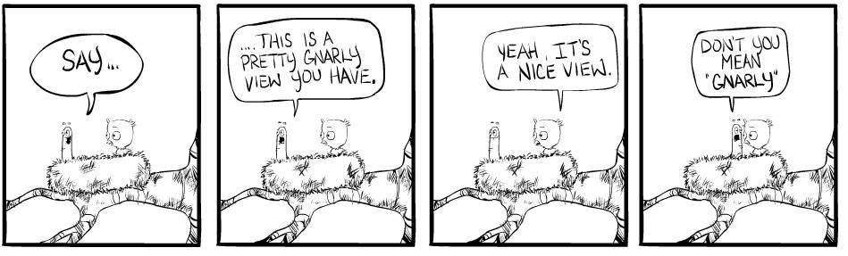 Strip #317 June 22 2007