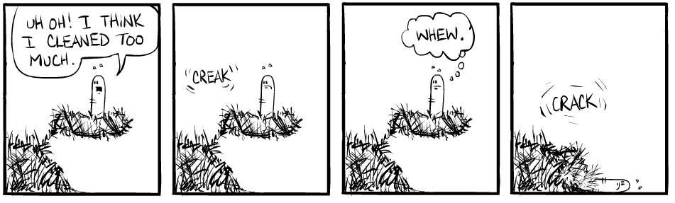 Strip #324, June 29 2007