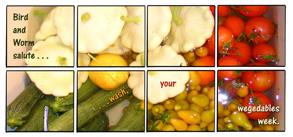 Strip #354, July 29 2007
