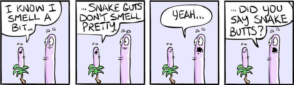 Strip #361, August 5 2007
