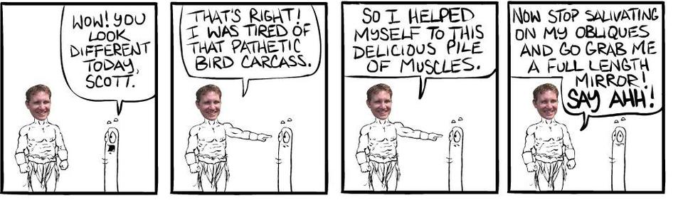 Strip #382, October 1 2007