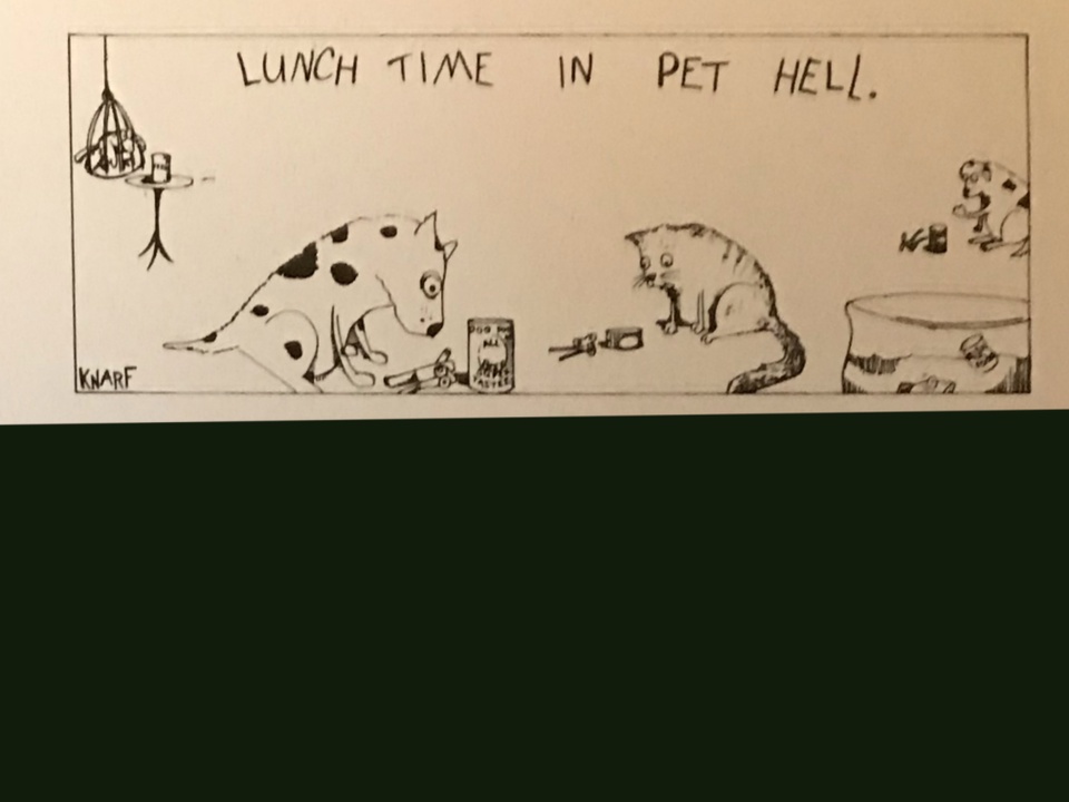 Pet hell strip