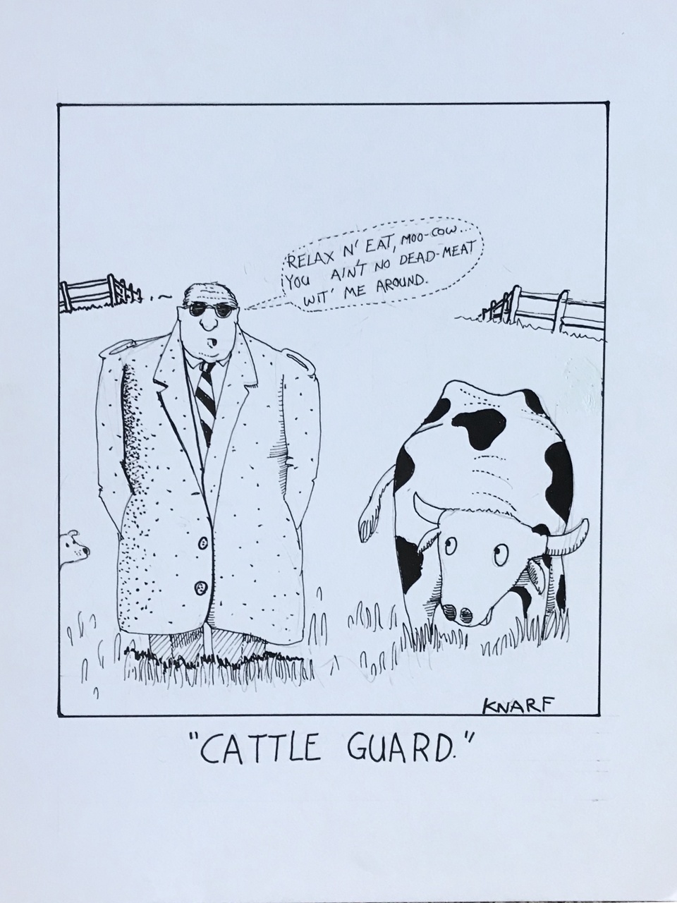 Cattle Guard