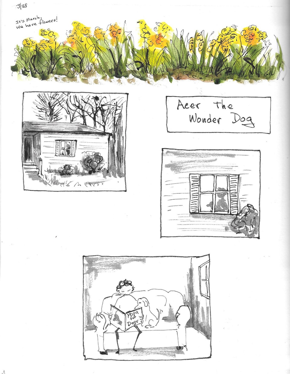 page 103 Acer the wonder dog