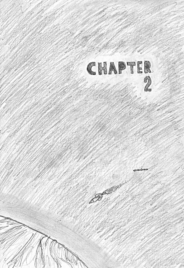 Chapter 2