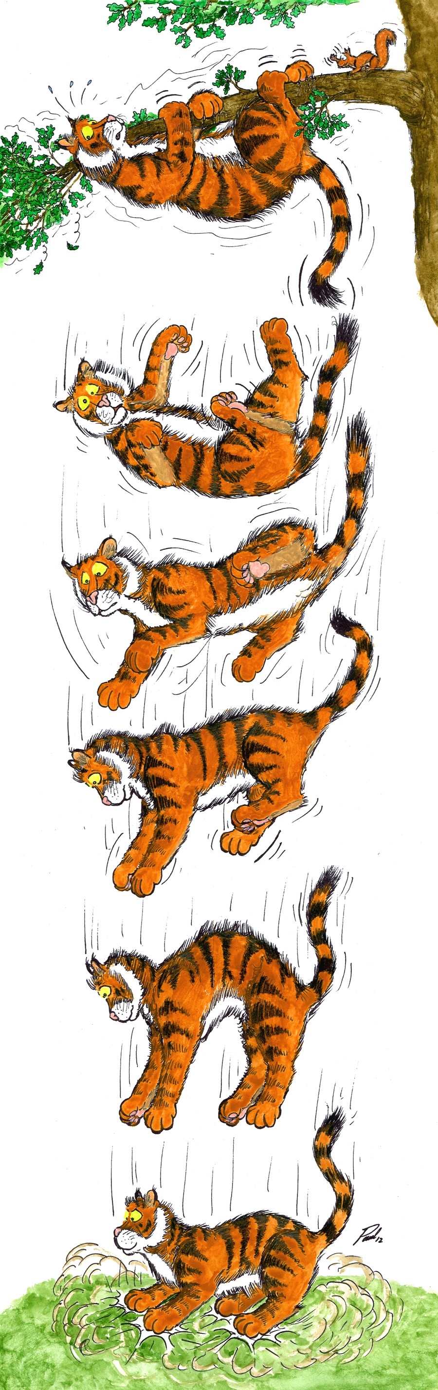 'N Tiger fallt jümmers op sien Fööt