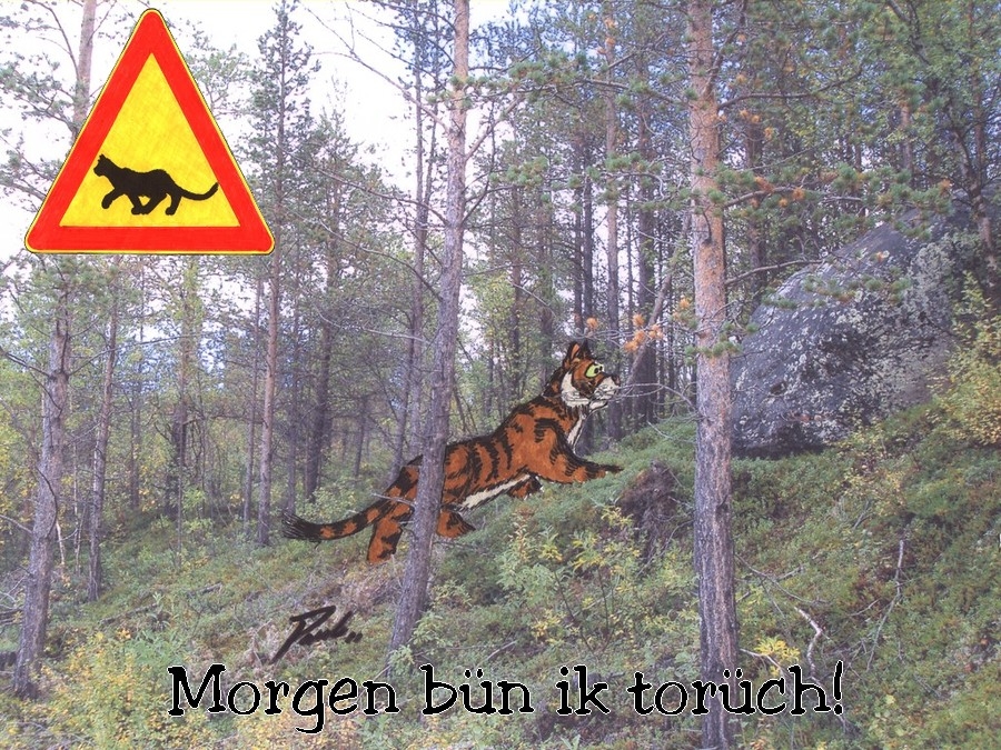 Een Dag noch