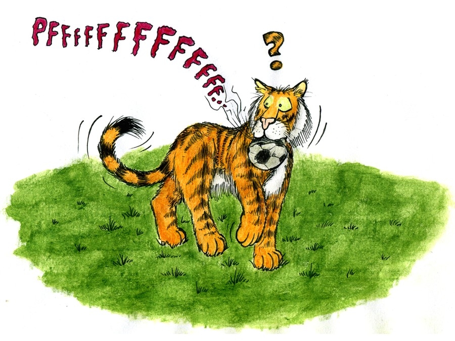 Tiger speelt ok geern Football...