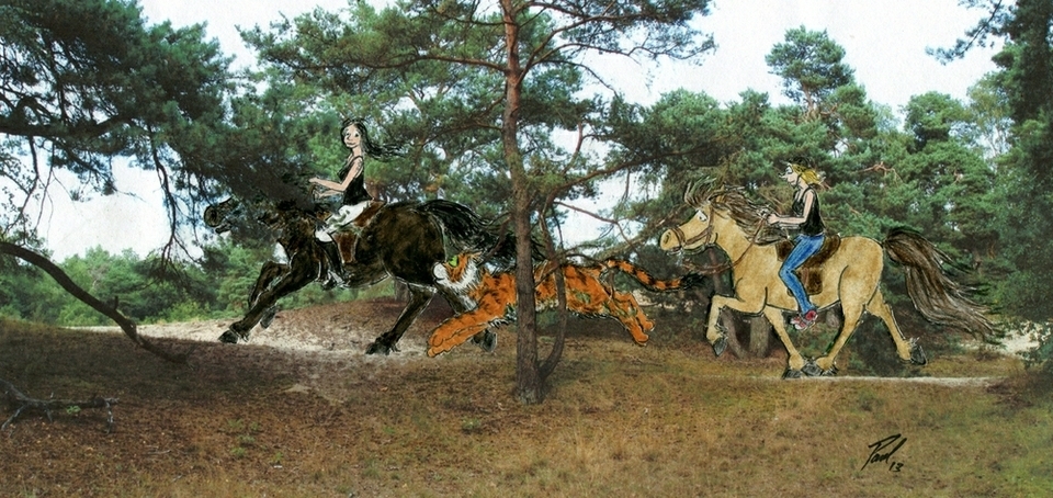 Ride On (Verden Dunes)