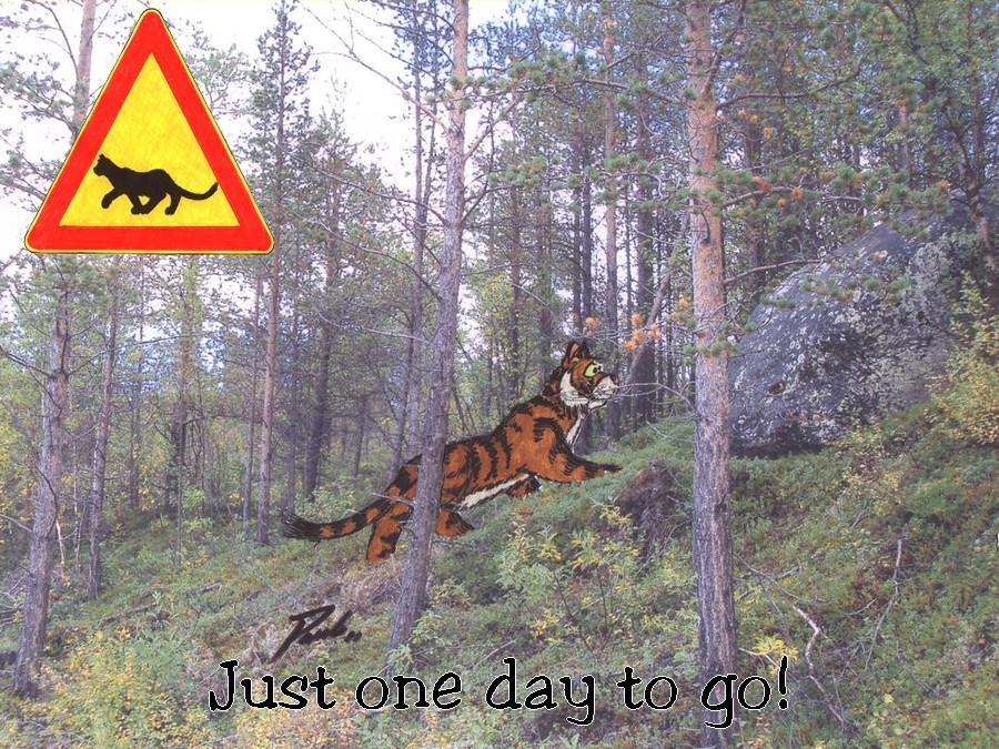 Countdown: One Day to Go