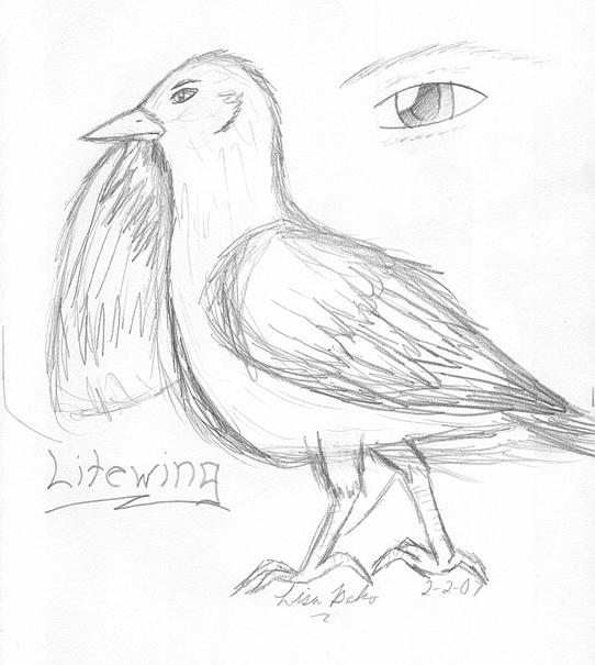 Artwork 6 - Litewing2