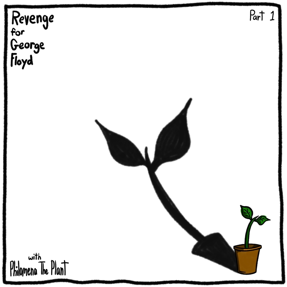 Revenge For George Floyd Part 1