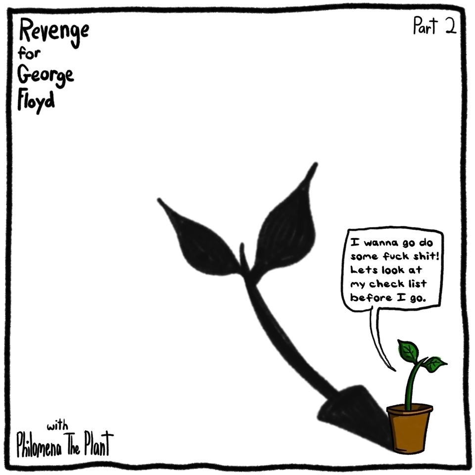 Revenge For George Floyd Part 2