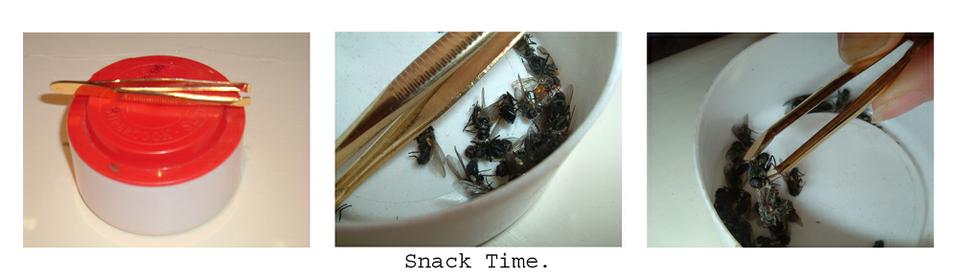 Snack Time