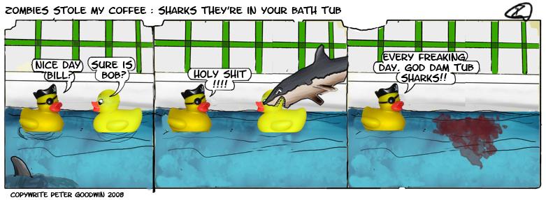 Tub Sharks