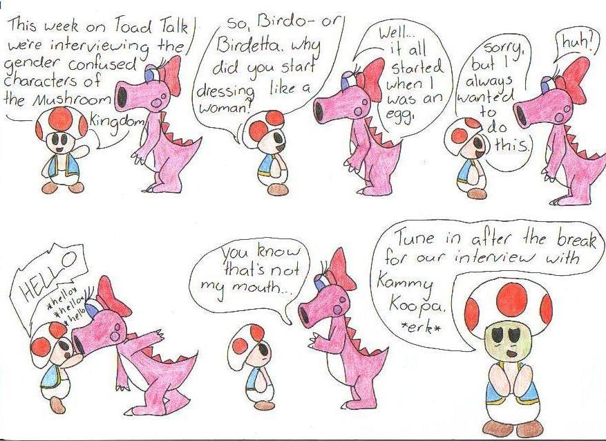 Toad Talk Issue 1