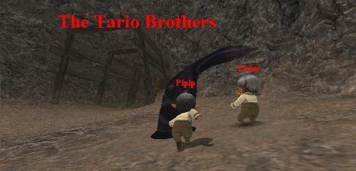 Tario Bros