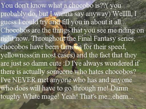 What's a Chocobo?