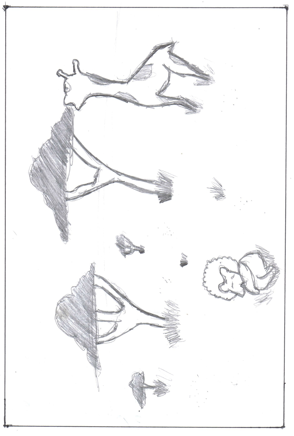 Christmas Presents 2011