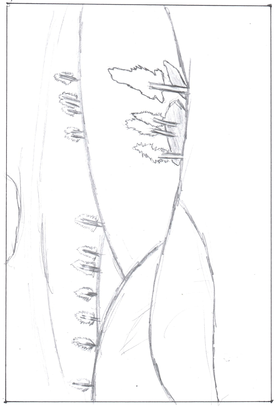 Christmas Presents 2011