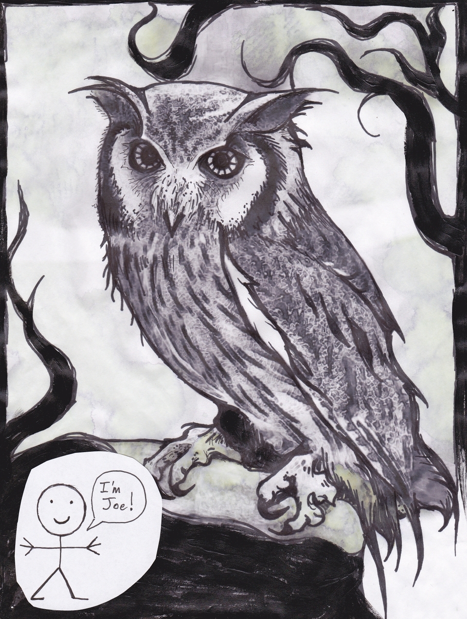 Owl Comic 1