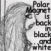 Go to PolarMagnet's profile