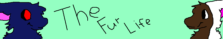 The Fur Life