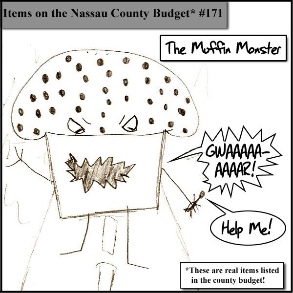 Items on the Nassau County Budget