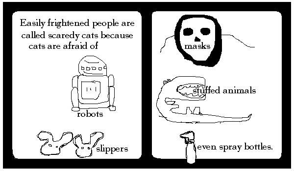 Scaredy Cats
