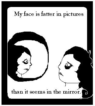 Face Fatter in Pictures