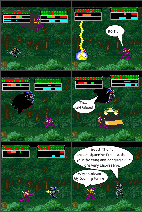 Strip #17: Sparring end.